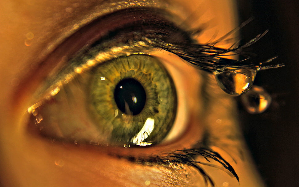 human eye, eyes, water drops HD wallpaper