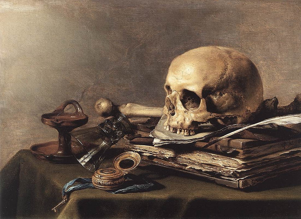 white skull and book painting, vanitas, bones, skull, fantasy art HD wallpaper