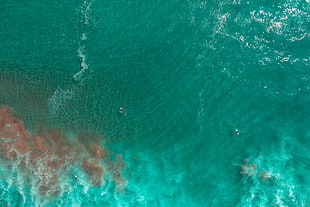 blue ocean, nature, water HD wallpaper