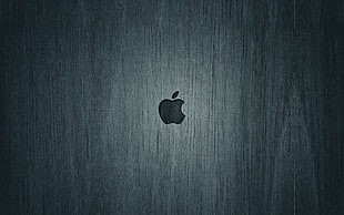 Apple logo