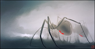 giant Black Widow graphic wallpaper, spider