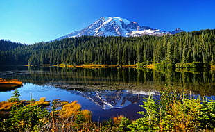 landscape photography of body of water surrounded by trees near mountain