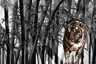 painting of tiger, tiger, big cats, bamboo