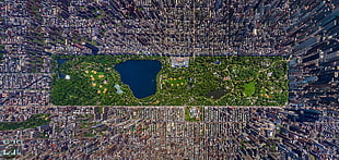 green and black folding table, New York City, Central Park, town, river