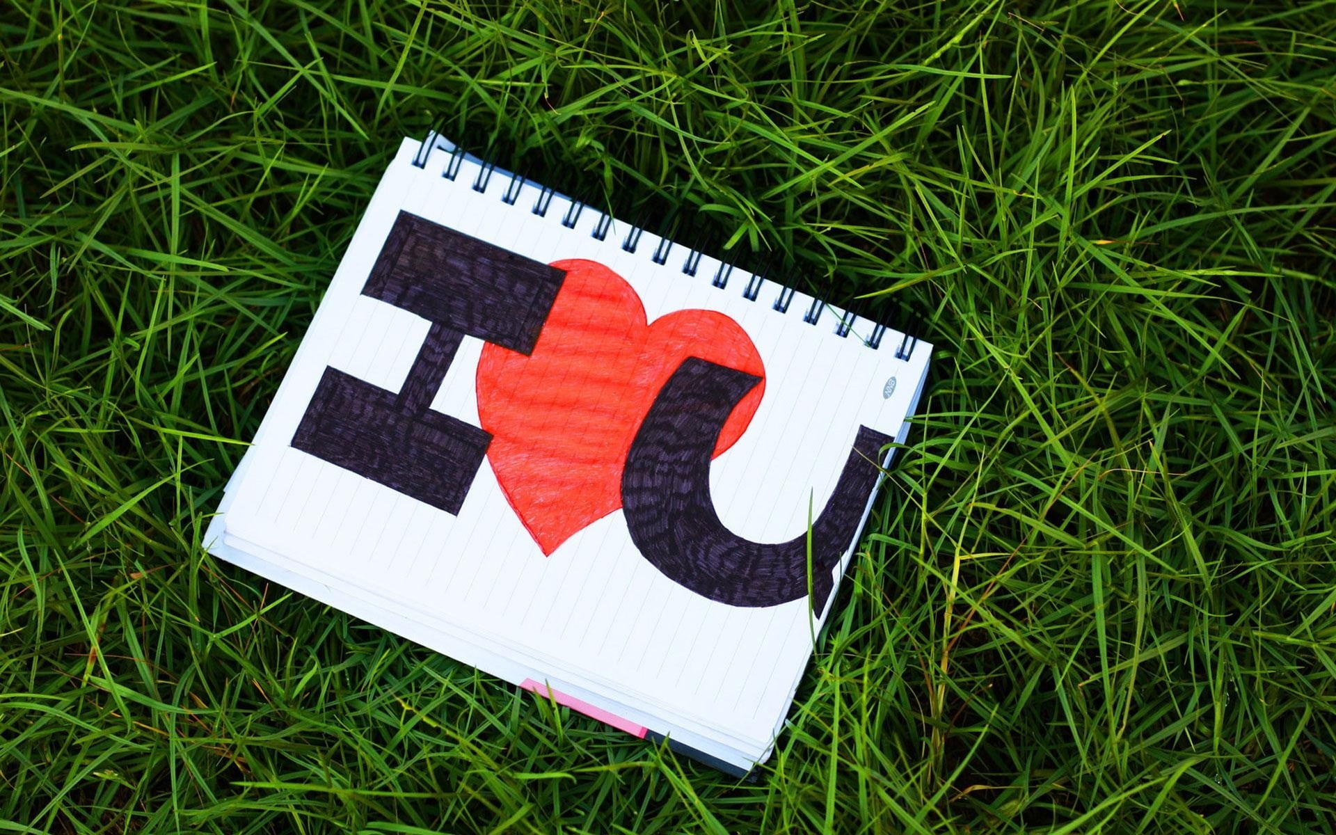 I love U drawing spiral notebook on green grass