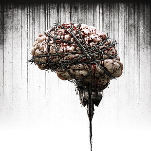digital art, brain, The Evil Within, video games HD wallpaper