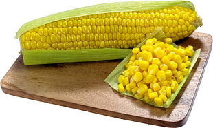 corn cub and corn kennels