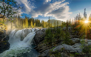 waterfall near trees at daytime, waterfall, sunset, river, forest