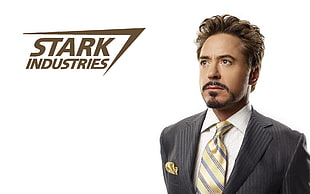 Robert Downey Jr., Tony Stark, Iron Man, Robert Downey Jr., The Avengers HD wallpaper