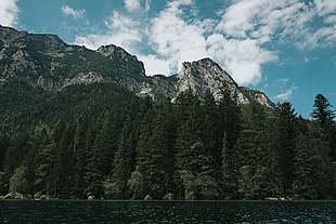 pine trees and mountain peak, lake, mountains HD wallpaper