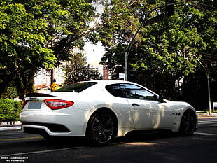white coupe on street, car, sports car, Maserati