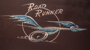 Road Runner illustration, Road Runner