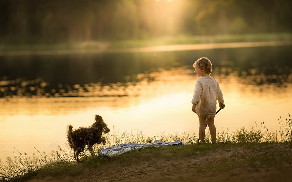 boy's white long-sleeved top, children, dog, lights, sunset HD wallpaper