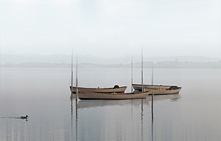 three brown boats