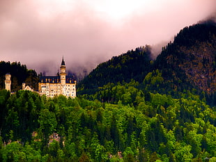 aerial photo of white and black castle with green trees photo, neuschwanstein castle