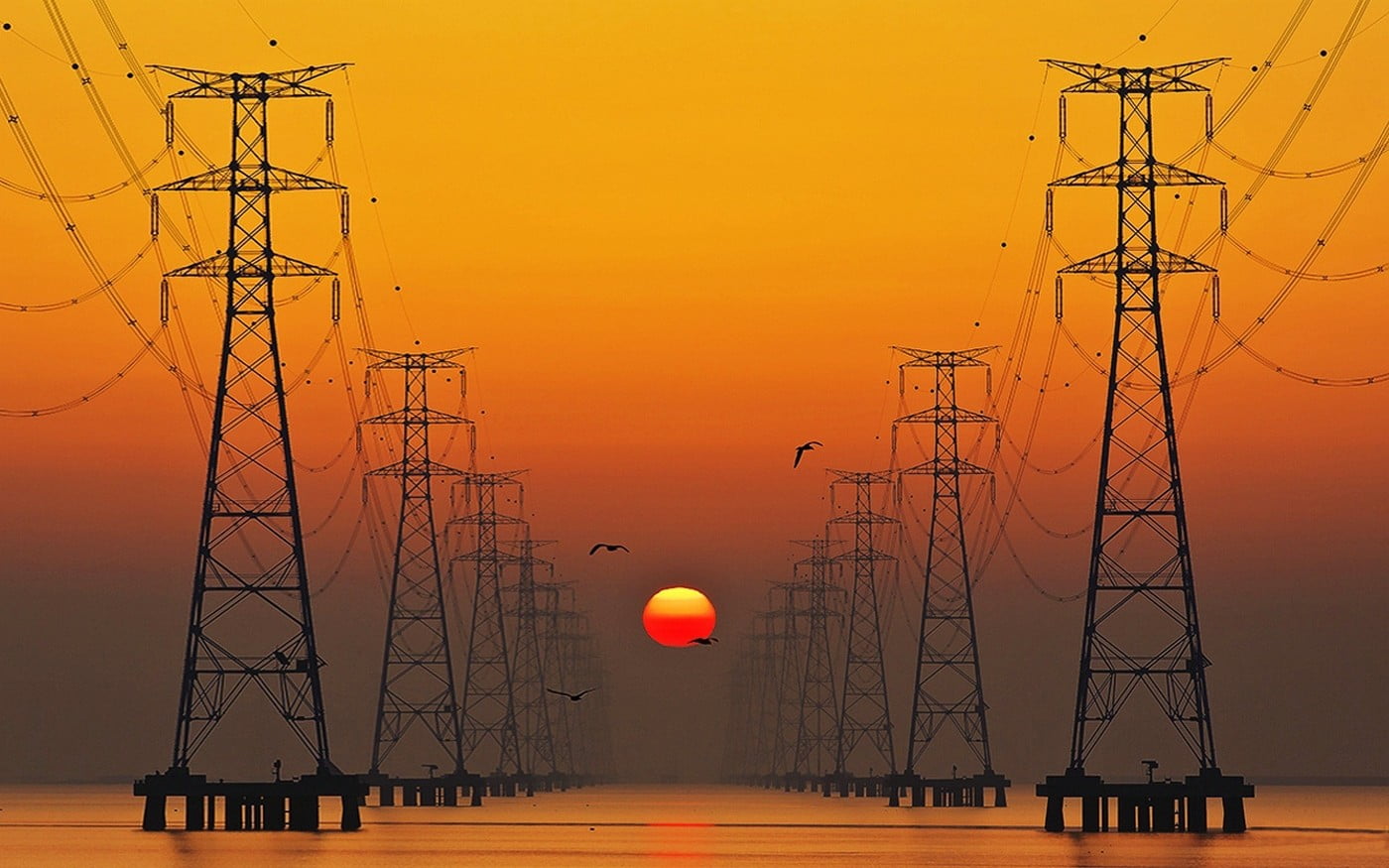 black electric pylons, nature, landscape, lake, birds