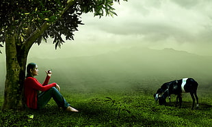 woman in red shirt and blue jeans sitting beside tree with two black horse eating grass