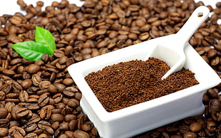 brown coffee grain on rectangular white bowl
