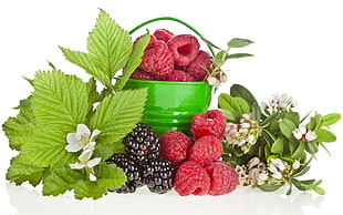 raspberry and berries in green bucket