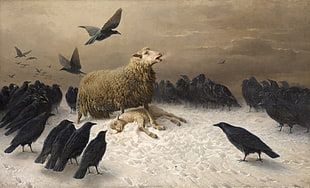 painting of lamb surrounded by ravens, Albrecht Schenck, painting, sheep, birds HD wallpaper
