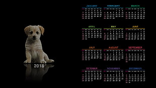 2018 calendar, calendar, puppies, dog