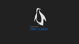 Linux logo, Linux, GNU, minimalism HD wallpaper