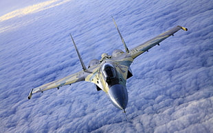 gray fighting plane, aircraft, military aircraft, Sukhoi Su-37, jet fighter HD wallpaper