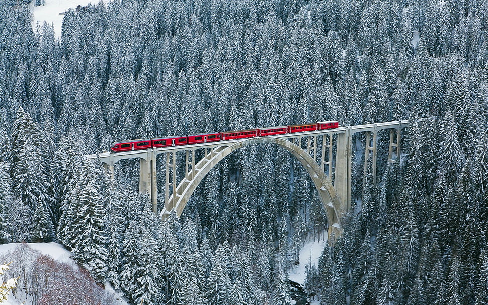 red train, nature, landscape, winter, bridge HD wallpaper