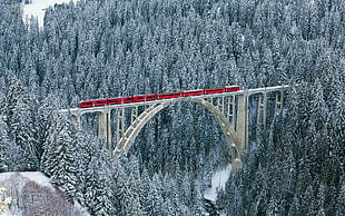 red train, nature, landscape, winter, bridge