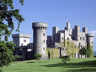 gray castle landmark