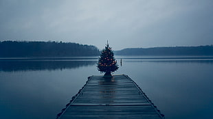 Christmas tree on dock HD wallpaper