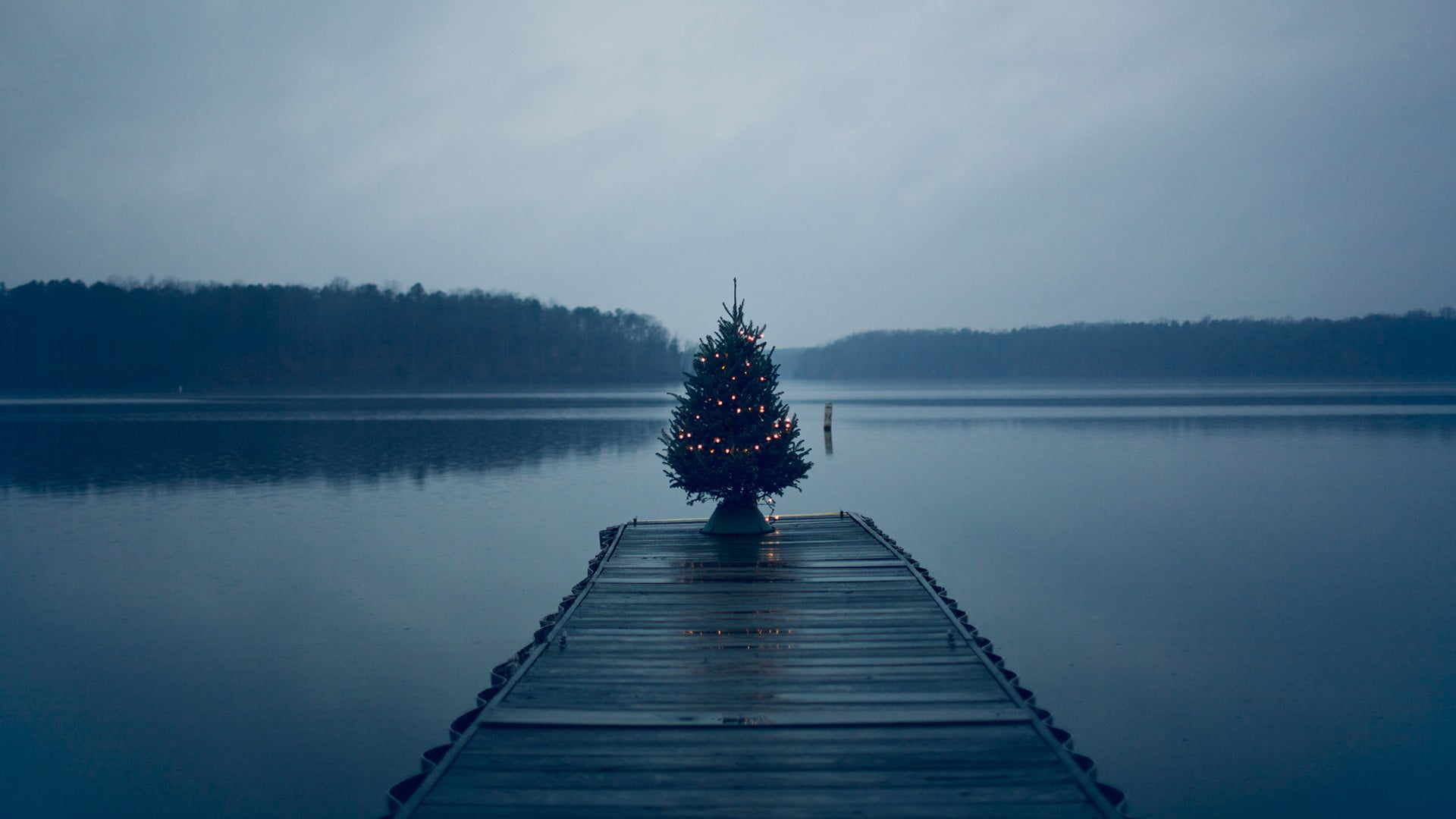 Christmas tree on dock
