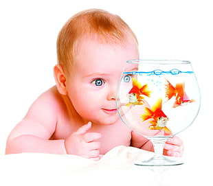 Child,  Aquarium,  Fish,  White background HD wallpaper