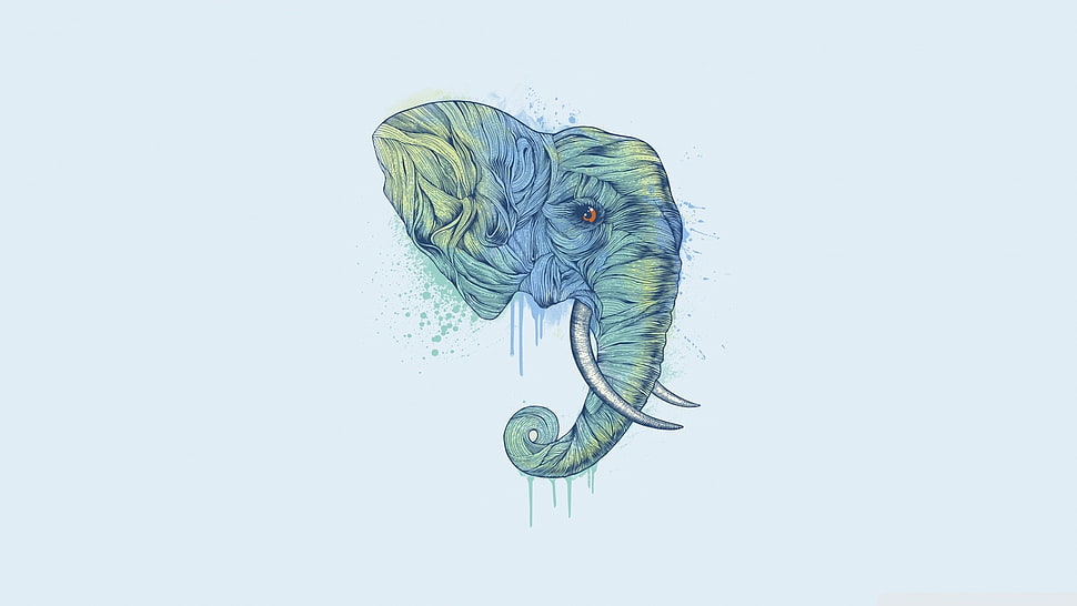 elephant bust drawing, elephant HD wallpaper