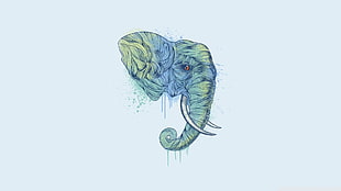 elephant bust drawing, elephant