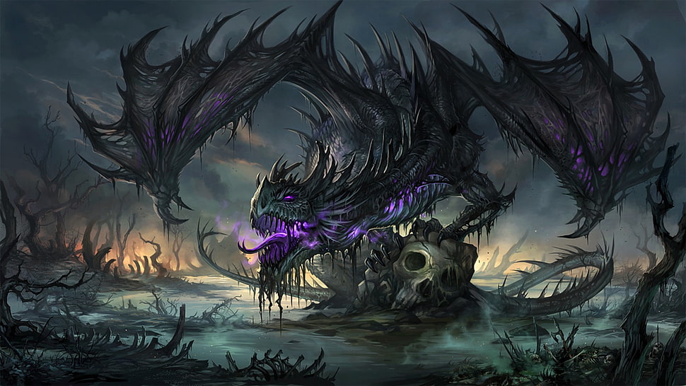 black and purple dragon digital wallpaper HD wallpaper