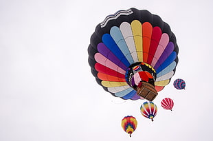 red and black multicolored hot air balloons