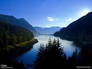 landscape photography of trees near of river, landscape, nature, mountains, National Geographic