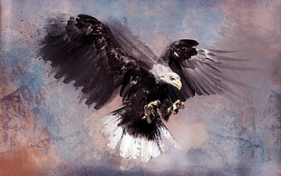 bald eagle painting, artwork, birds, eagle, animals HD wallpaper