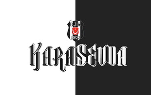 Besiktas logo, Besiktas J.K., Turkish, soccer pitches, soccer clubs HD wallpaper