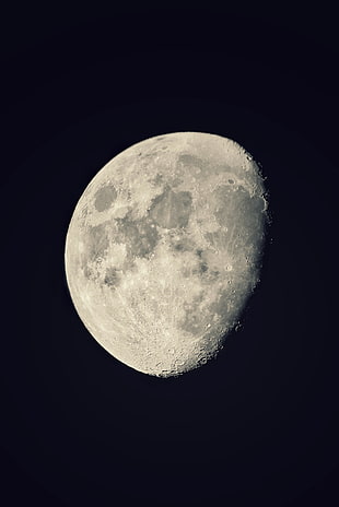 photo of full moon, Moon