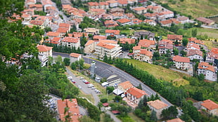 aerial angel view of a village with tree groves