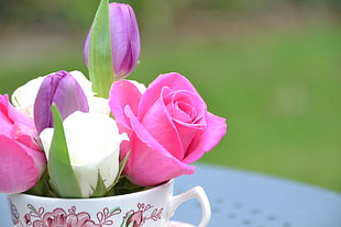 pink, white and purple roses shallow capture HD wallpaper