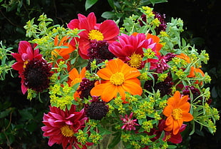 red and orange flower decors