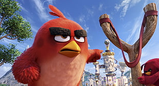 Angry Bird Red movie HD wallpaper