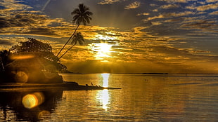 showing of yellow sun rise