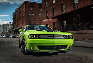 green Dodge Challenger, Dodge Challenger, Dodge, urban, green cars