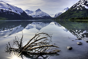 landscape photography of mountains next to body of water