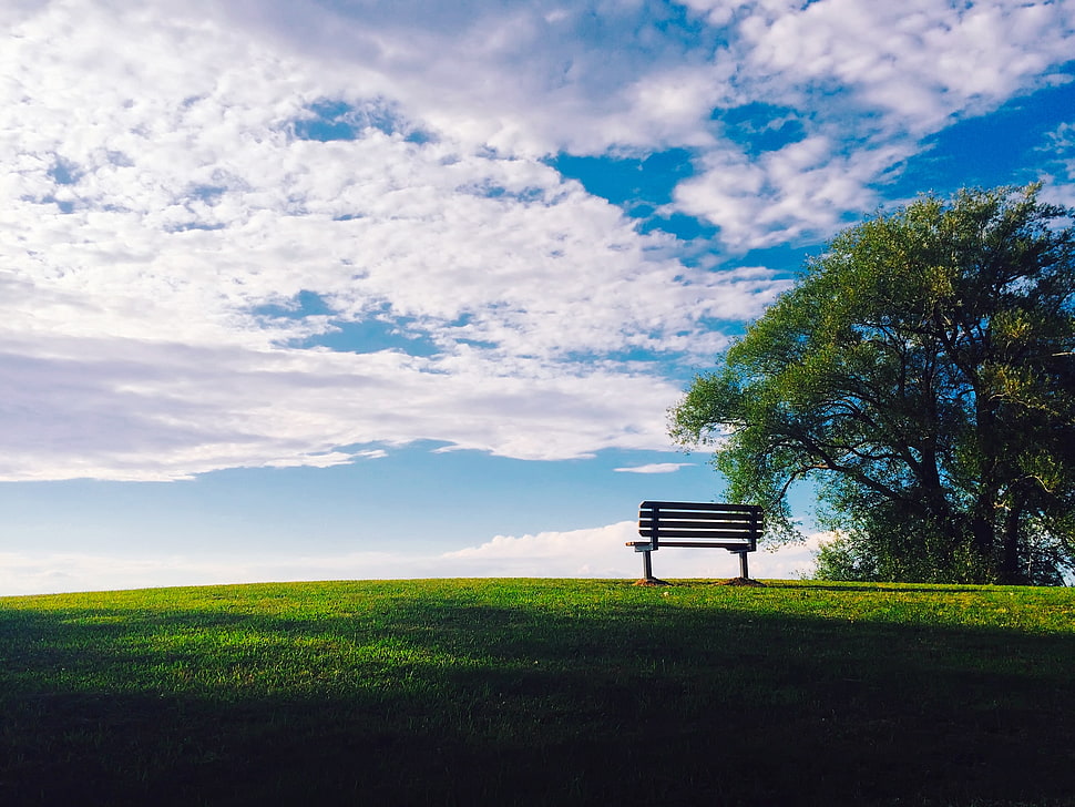 brown wooden bench HD wallpaper