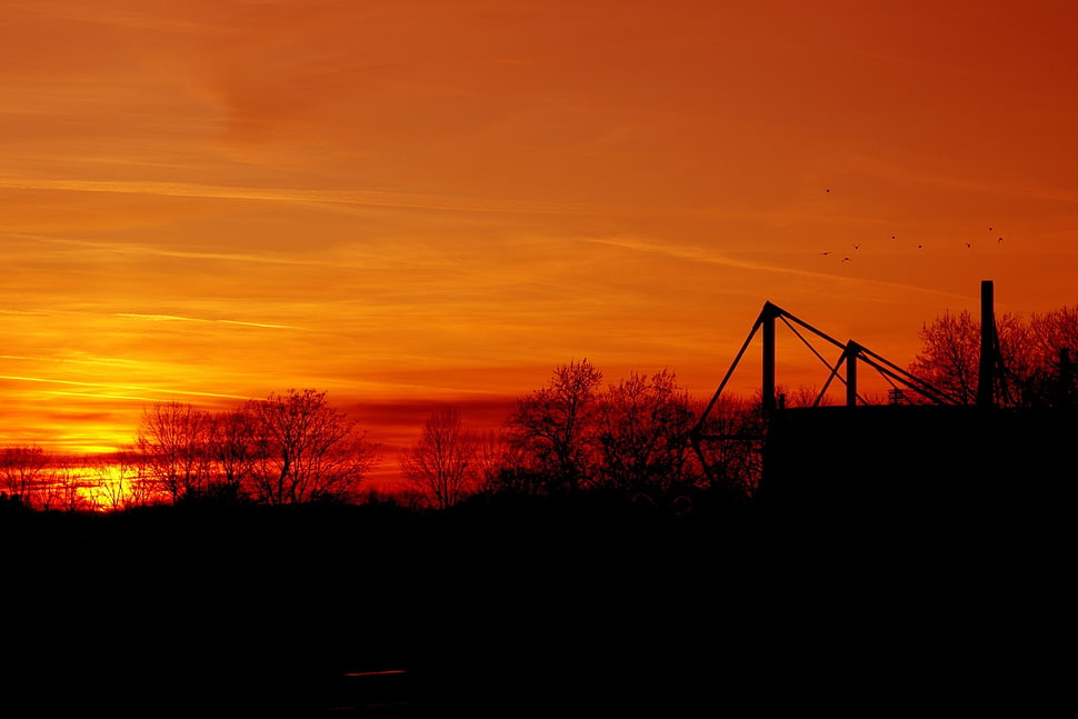 yellow sunset, BVB, Signal Iduna Park, Borussia Dortmund, Sun HD wallpaper